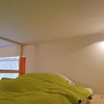 A Comfy Apartment In Prague